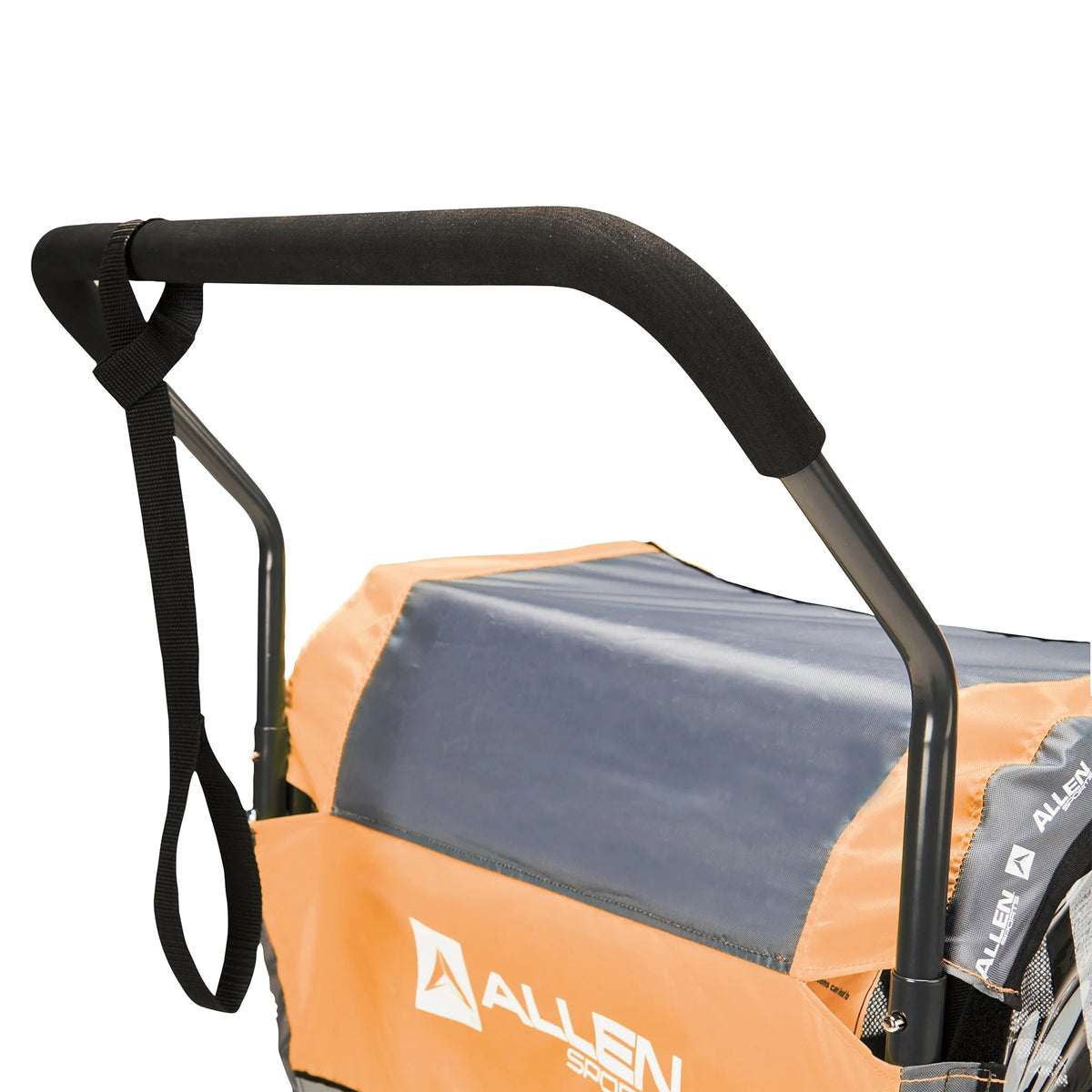 Remorque de vélo et poussette pour 2 enfants Allen Sports Deluxe, modèle AS2, verte