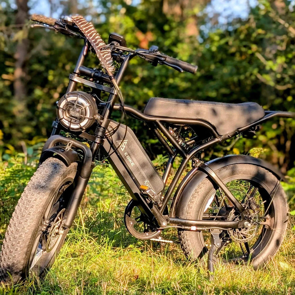 Vélo électrique pour adultes, moteur de 750 W en crête et 1 500 W, vélo électrique à pneus larges 20 x 4, freins à disque hydrauliques, VTT électrique, 48 V/15 Ah, conforme à la norme UL 2849, commande par application