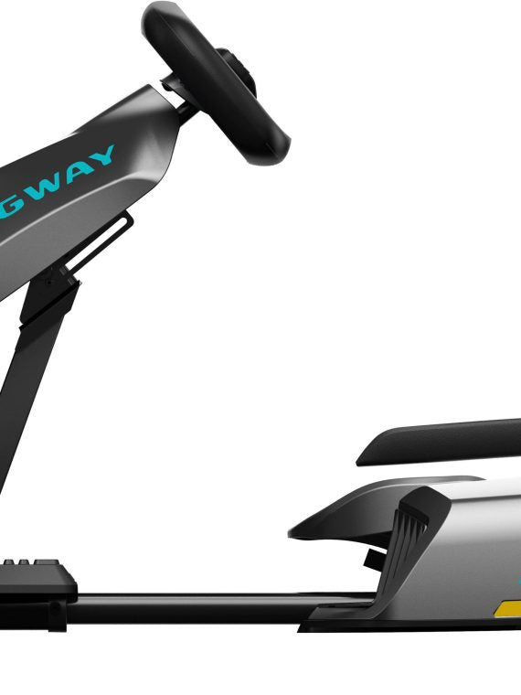 Segway ¨C Go Kart Pro 2 avec 15,5 mi d'autonomie maximale et 26,7 mph de vitesse maximale ¨C Gris