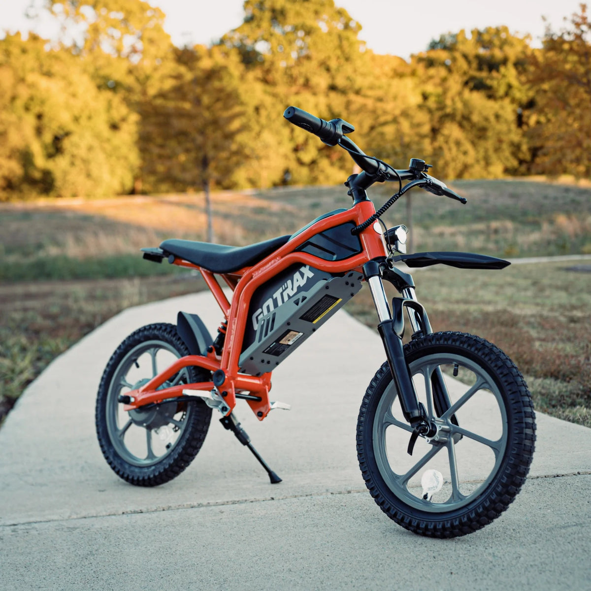 GOTRAX Fitz16 Moto tout-terrain électrique pour enfants à partir de 8 ans, moteur de 350 W, pneus tout-terrain de 16 pouces, double suspension, vitesse de 15,5 mi/h, autonomie de 16 mi, phare à DEL, noire