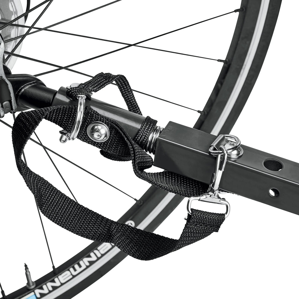Allen Sports Remorque pour Vélo Enfant à Deux Roues, Rouge