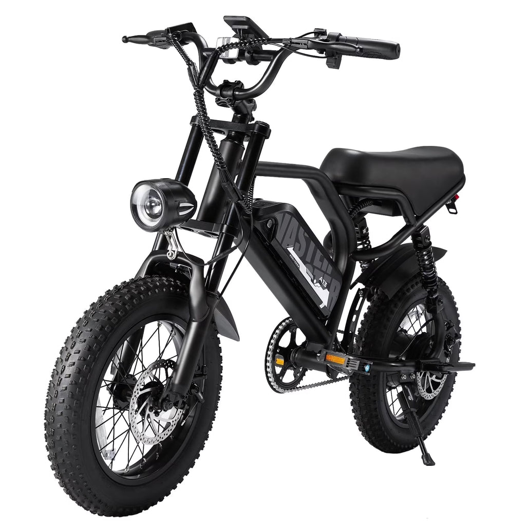 Vélo électrique AVDL, vélo à pneus larges de 16 pouces, moteur de 500 W, batterie amovible 48 V 12 Ah, suspension intégrale, 38 miles en mode électrique pur, 55 miles avec pédalage