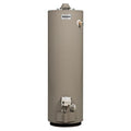 Chauffe-eau au gaz naturel Reliance de 40 gallons