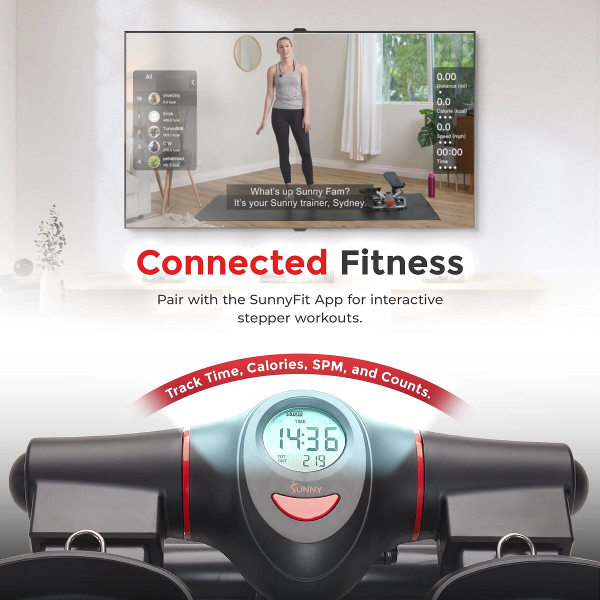 Sunny Health & Fitness Mini Stepper Appareil d’exercice de montée de marches avec capacité de charge supérieure - SF-S021054