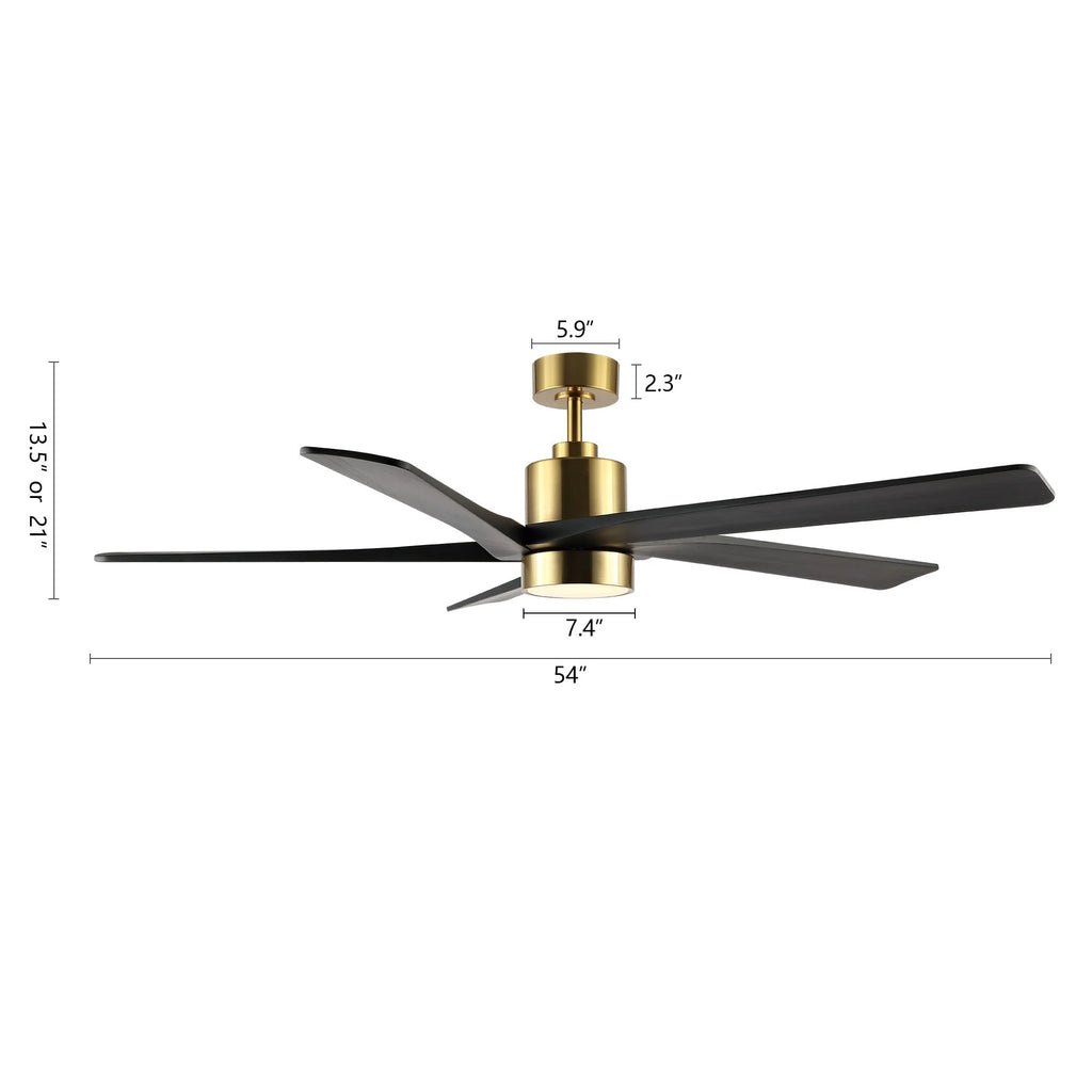 Ventilateur de plafond WINGBO 54 pouces à courant continu avec éclairage et télécommande, 5 pales réversibles en bois sculpté, laiton/noir