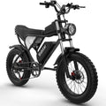 Vélo électrique pour adultes Ridstar, moto électrique à pneus larges de 20 pouces, vélo électrique de 1 000 W avec batterie amovible 48 V/20 Ah, transmission Shimano 7 vitesses, suspension intégrale