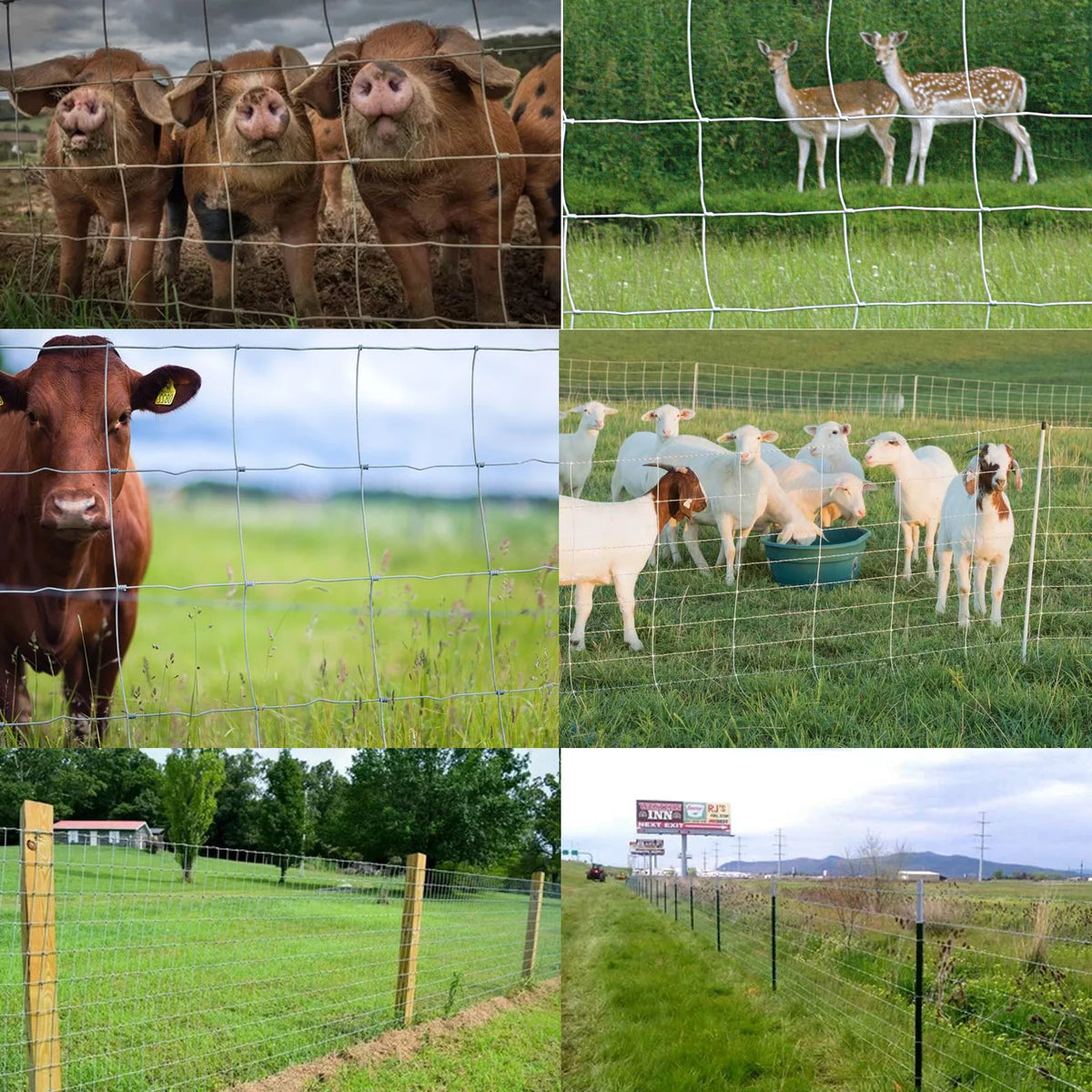 Clôture agricole, grillage galvanisé de 1,22 m x 50 m, clôture pour bétail et cerfs, revêtement épais en zinc, clôture pour porcs et chèvres, cour, jardin et champ