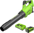 Souffleur axial Greenworks 40V TruBrushless (257 km/h / 700 PCM), batterie 8,0 Ah et chargeur inclus