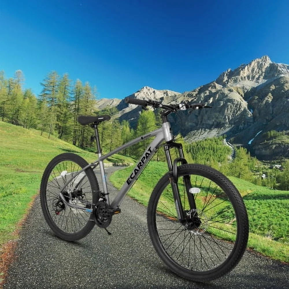 Vélo de route hybride Raistyw 700C, vélo de montagne tout-terrain 16 vitesses avec freins à disque, cadre léger en aluminium, vélo de course pour homme et femme, taille L, noir
