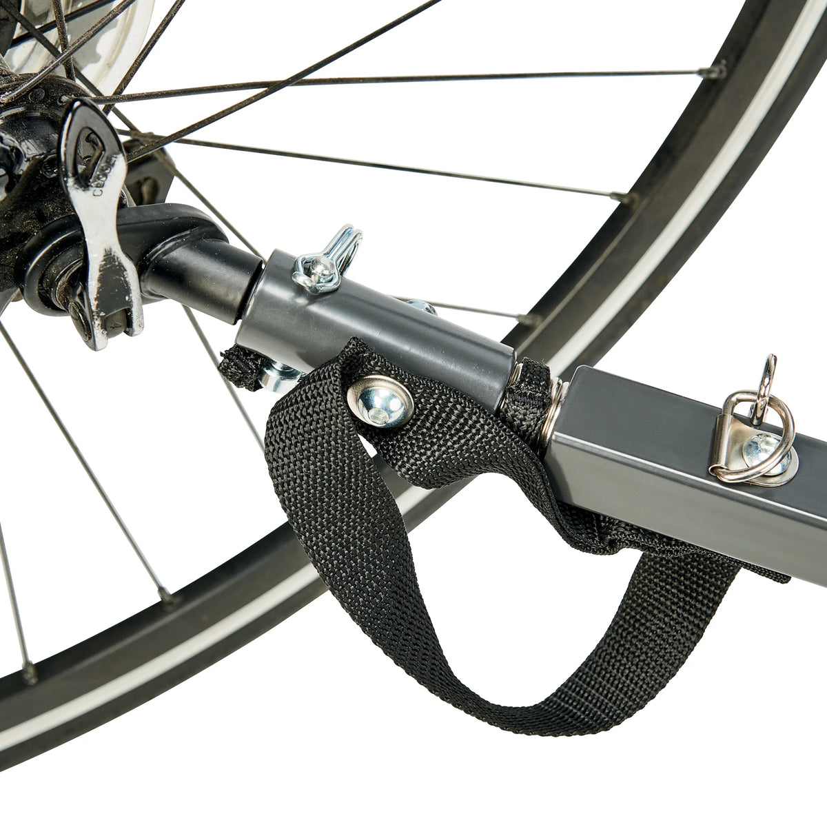 Remorque de vélo et poussette pour 2 enfants Allen Sports Deluxe, modèle AS2, verte