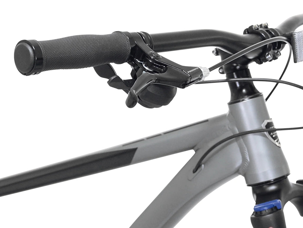 Bicycles 29 VTT Trouvaille pour homme, taille M, noir et taupe
