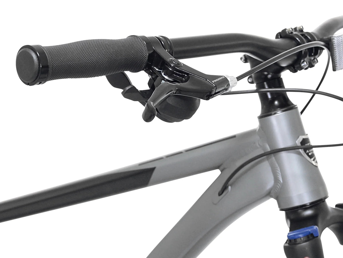 Bicycles 29 VTT Trouvaille pour homme, taille M, noir et taupe