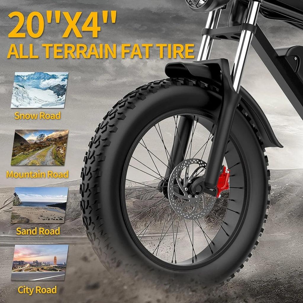 Vélo électrique pour adultes Ridstar, moto électrique à pneus larges de 20 pouces, vélo électrique de 1 000 W avec batterie amovible 48 V/20 Ah, transmission Shimano 7 vitesses, suspension intégrale