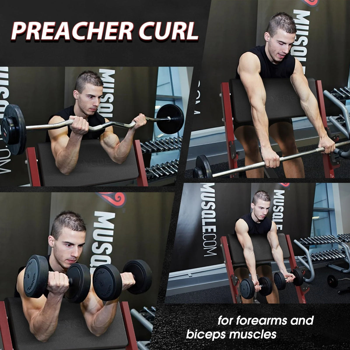 syedee Banc à pupitre, Station d’isolation des biceps assis à la barre et aux haltères, Machine à biceps curl avec 2 supports de barre pour salle de sport à domicile (Rouge)